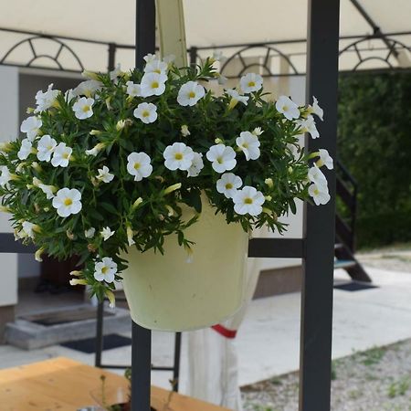 Apartmani Husko ตูเฮลย์สเก ตอปลิตเซ ภายนอก รูปภาพ